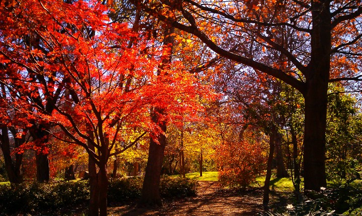 Great Plains Trail